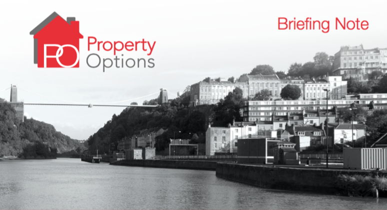 Property Options Briefing Note