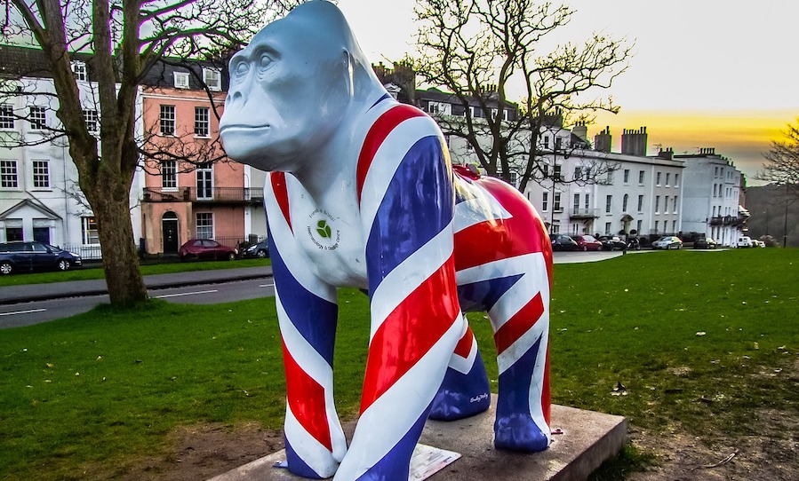 Bristol - gorilla - Buy to let market update